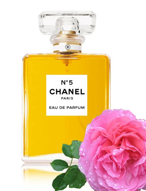 chanel perfume mother's day|Chanel fragrance.